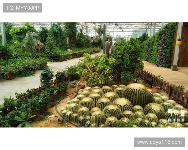 百湖直播：探索水域奇观，畅享自然盛宴